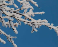 yrov0593_jpg_ejw_1280